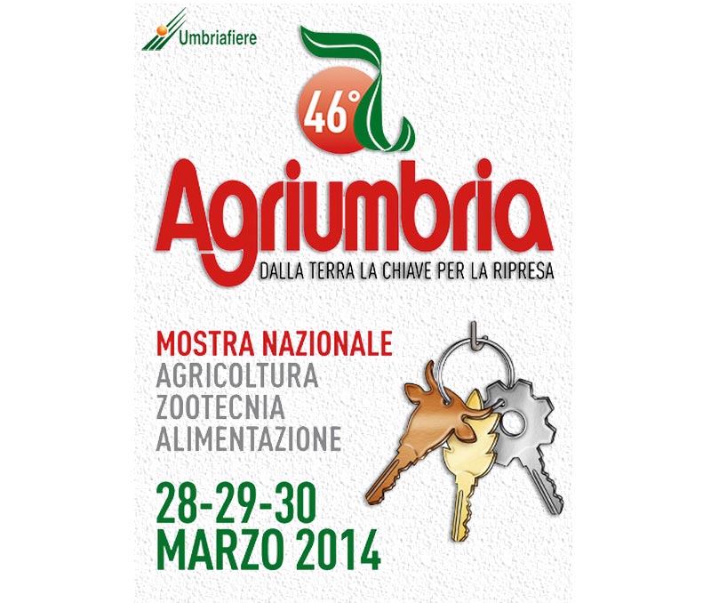Bastia Umbra, PG, Marzo 2014