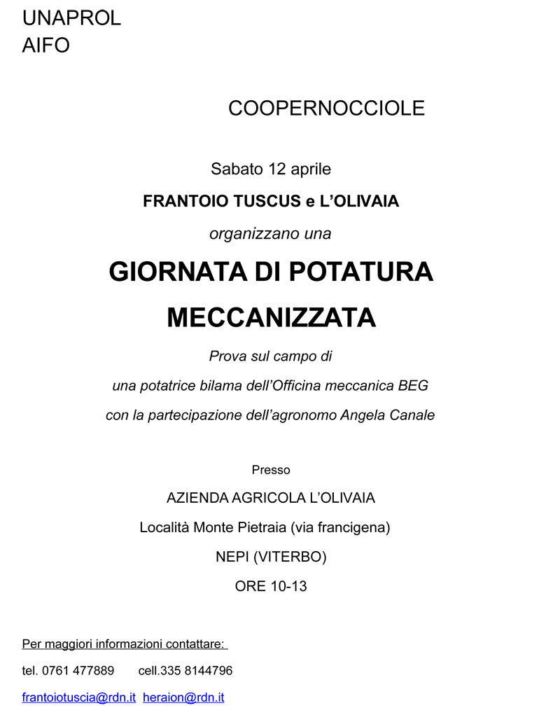 manifestazione-viterbo-12-aprile-2014